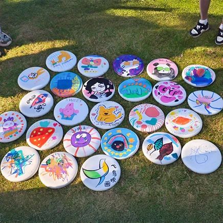Hand-painted frisbee